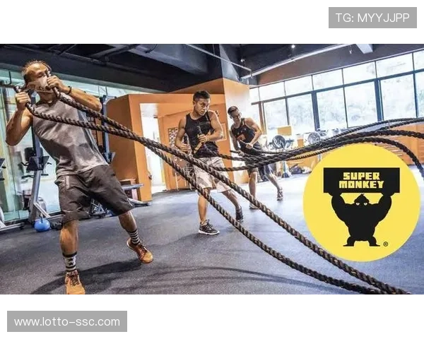 订阅制健身服务快速增长，用户粘性与复购率显著优于传统次卡